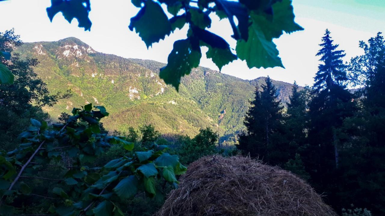 Hotel Khulo Lnn Bagian luar foto